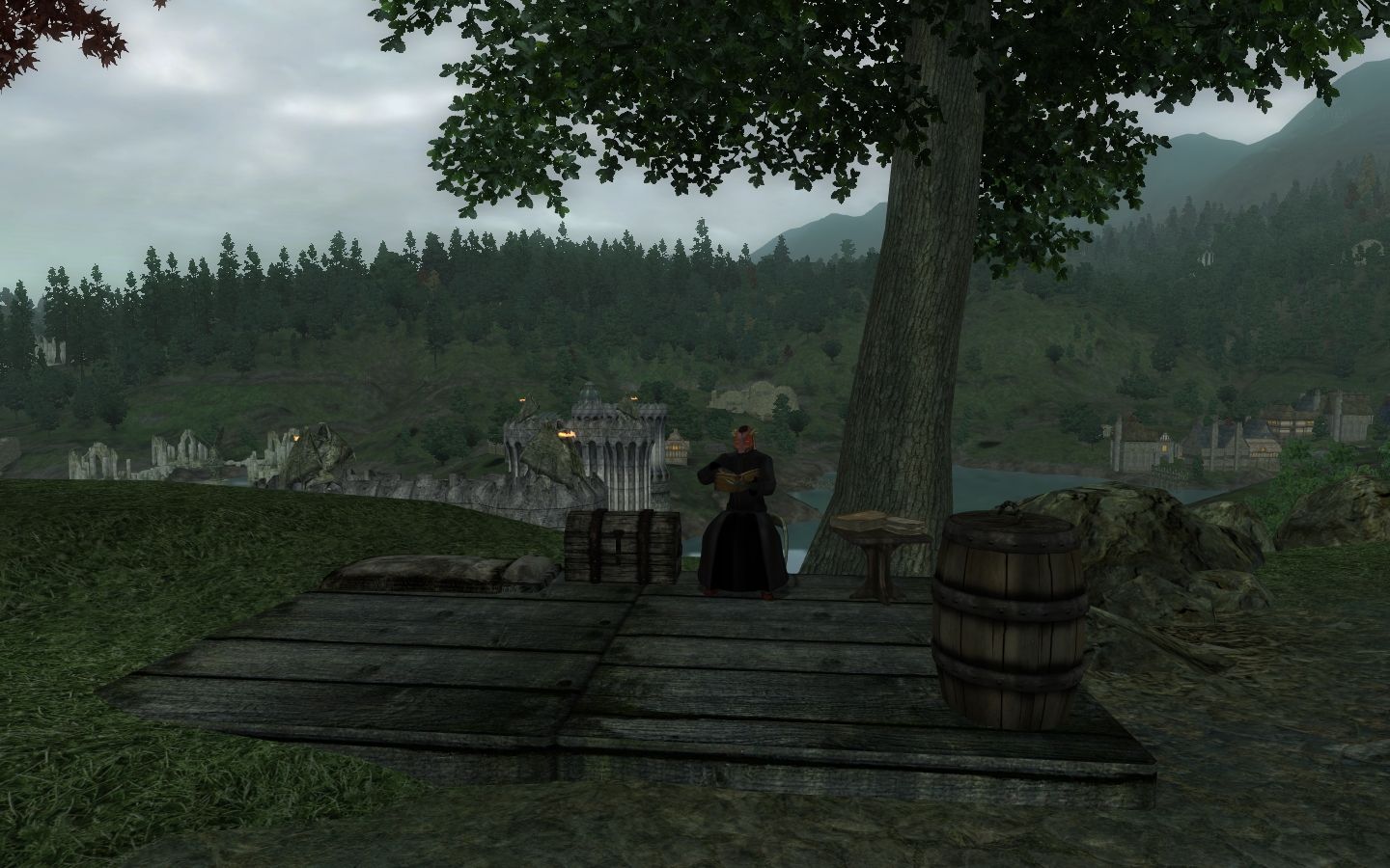 Cyrodiil Travel Services mod for The Elder Scrolls IV: Oblivion
