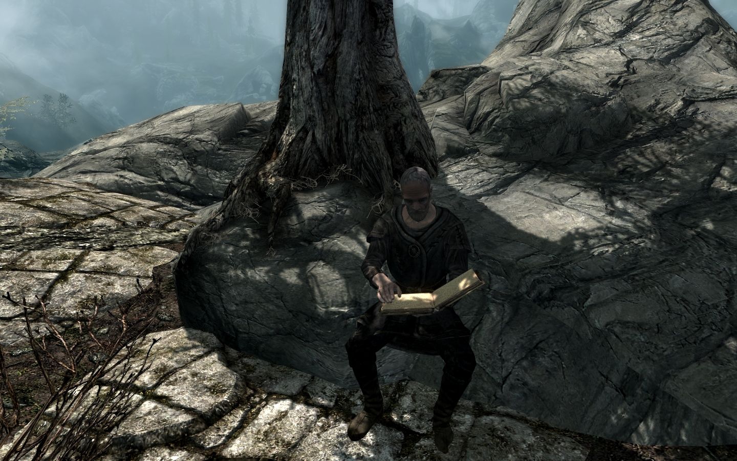 The Paarthurnax Dilemma mod for The Elder Scrolls V: Skyrim Special Edition