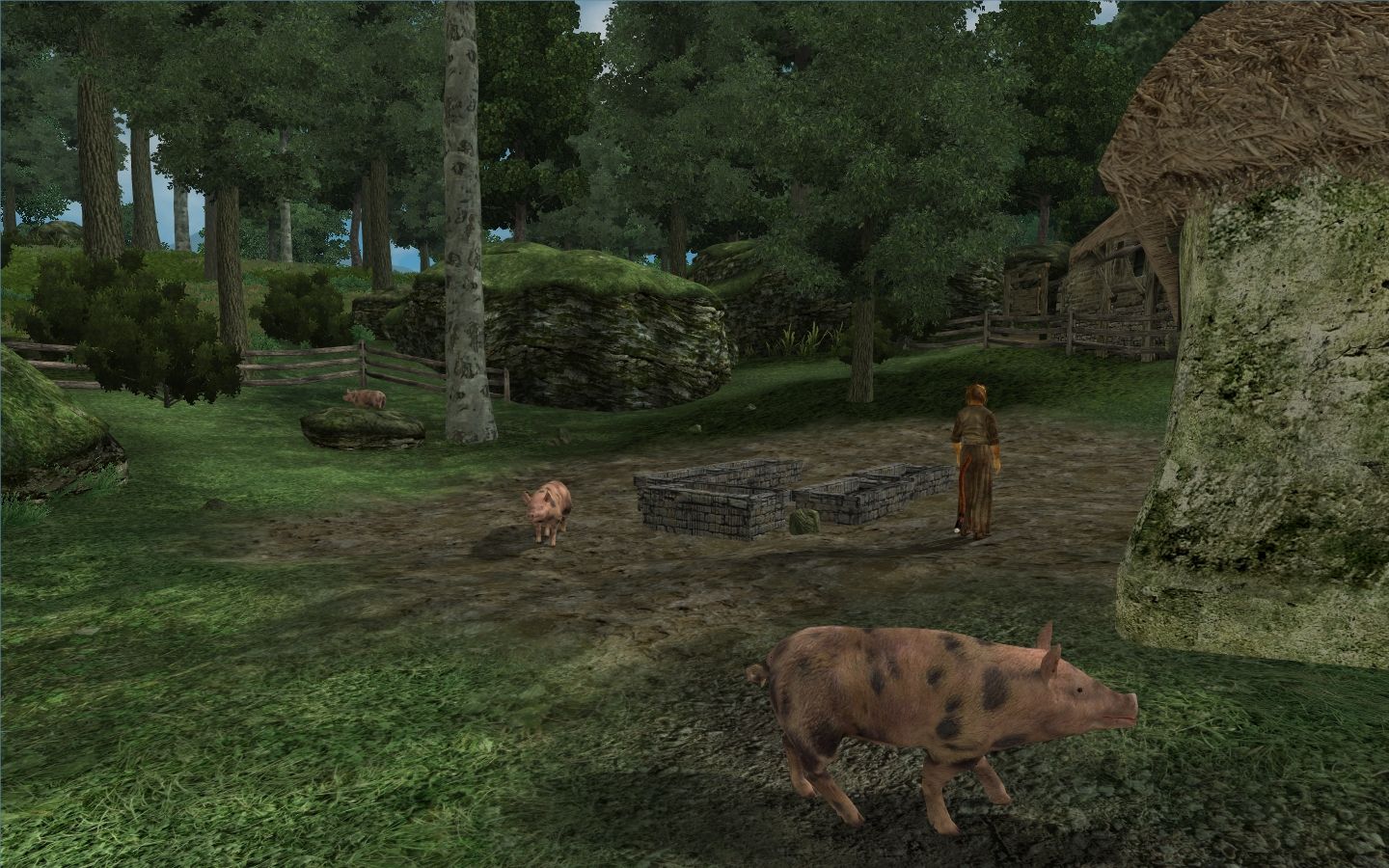 Faregyl Village mod for The Elder Scrolls IV: Oblivion