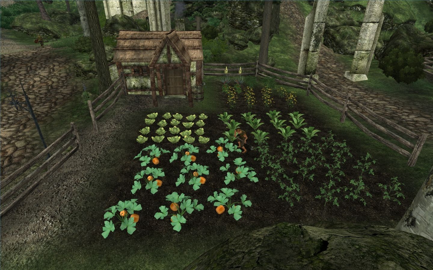 Faregyl Village mod for The Elder Scrolls IV: Oblivion