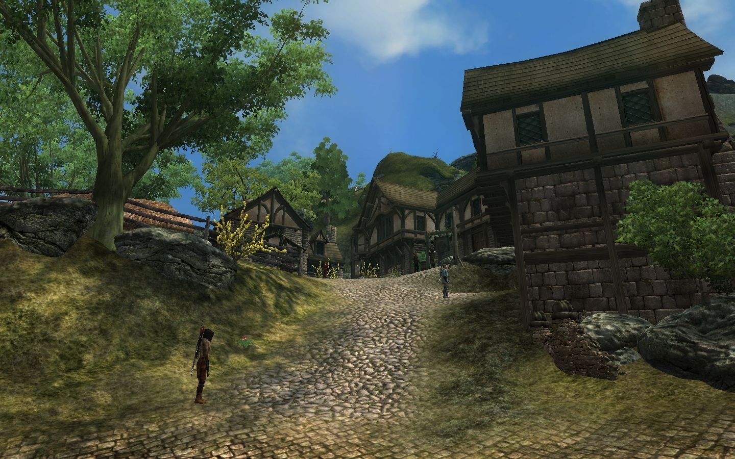 Gottshaw Village mod for The Elder Scrolls IV: Oblivion