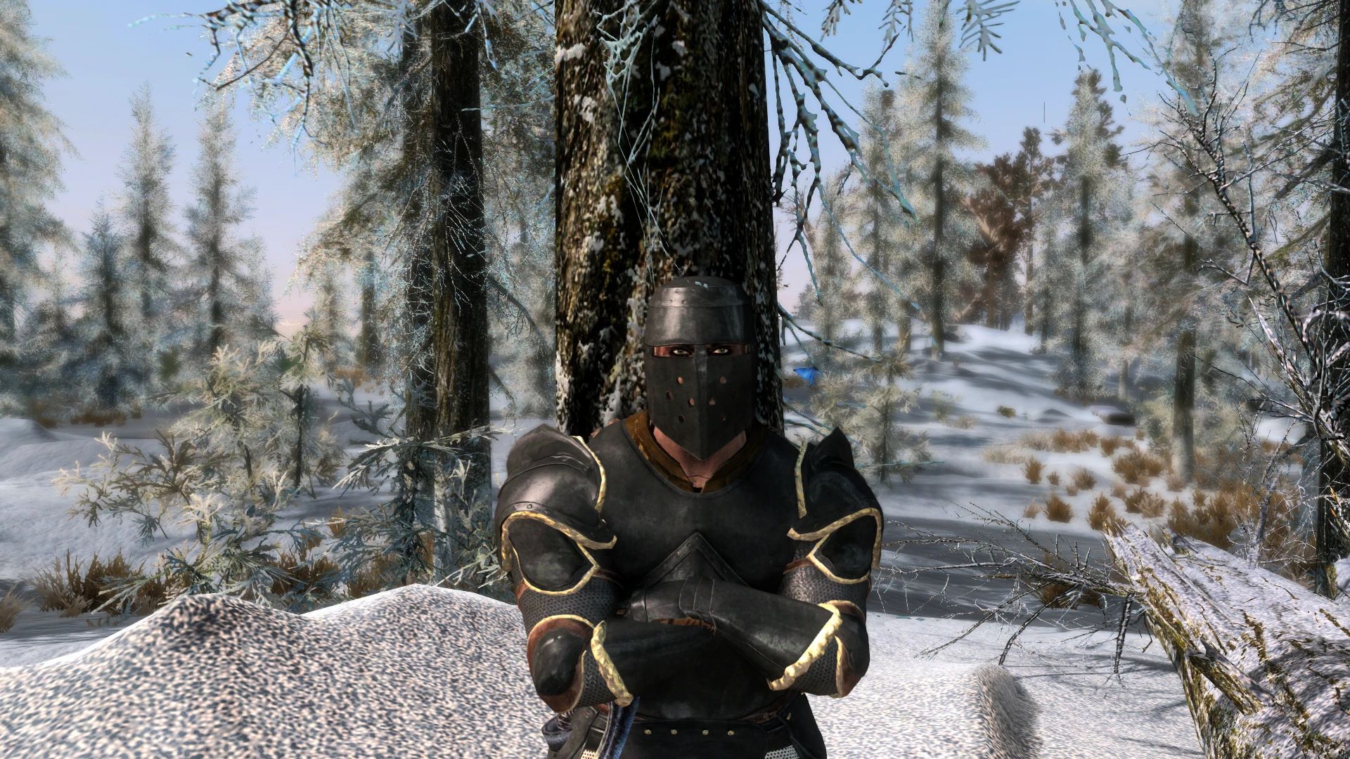 The Hunt for the Spectre - Elden Ring Inspired Quest mod for The Elder Scrolls V: Skyrim Special Edition