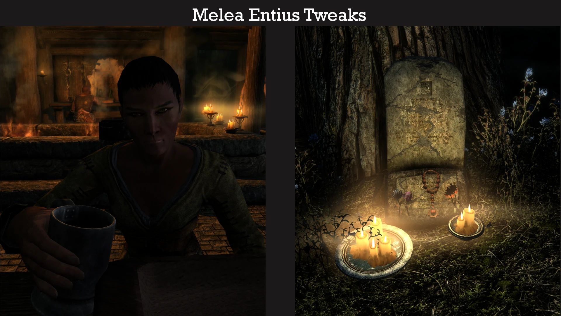 Interesting NPCs - Melea Entius Tweaks mod for The Elder Scrolls V: Skyrim Special Edition