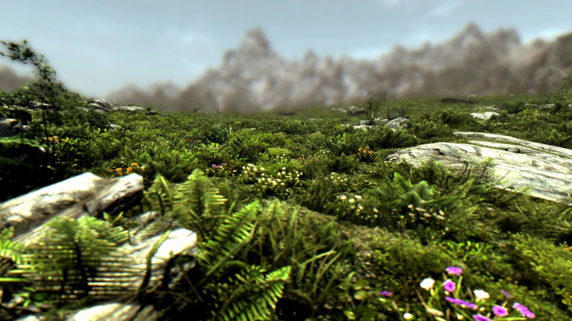 Summer Skyrim Overhaul HD mod for The Elder Scrolls V: Skyrim Special Edition