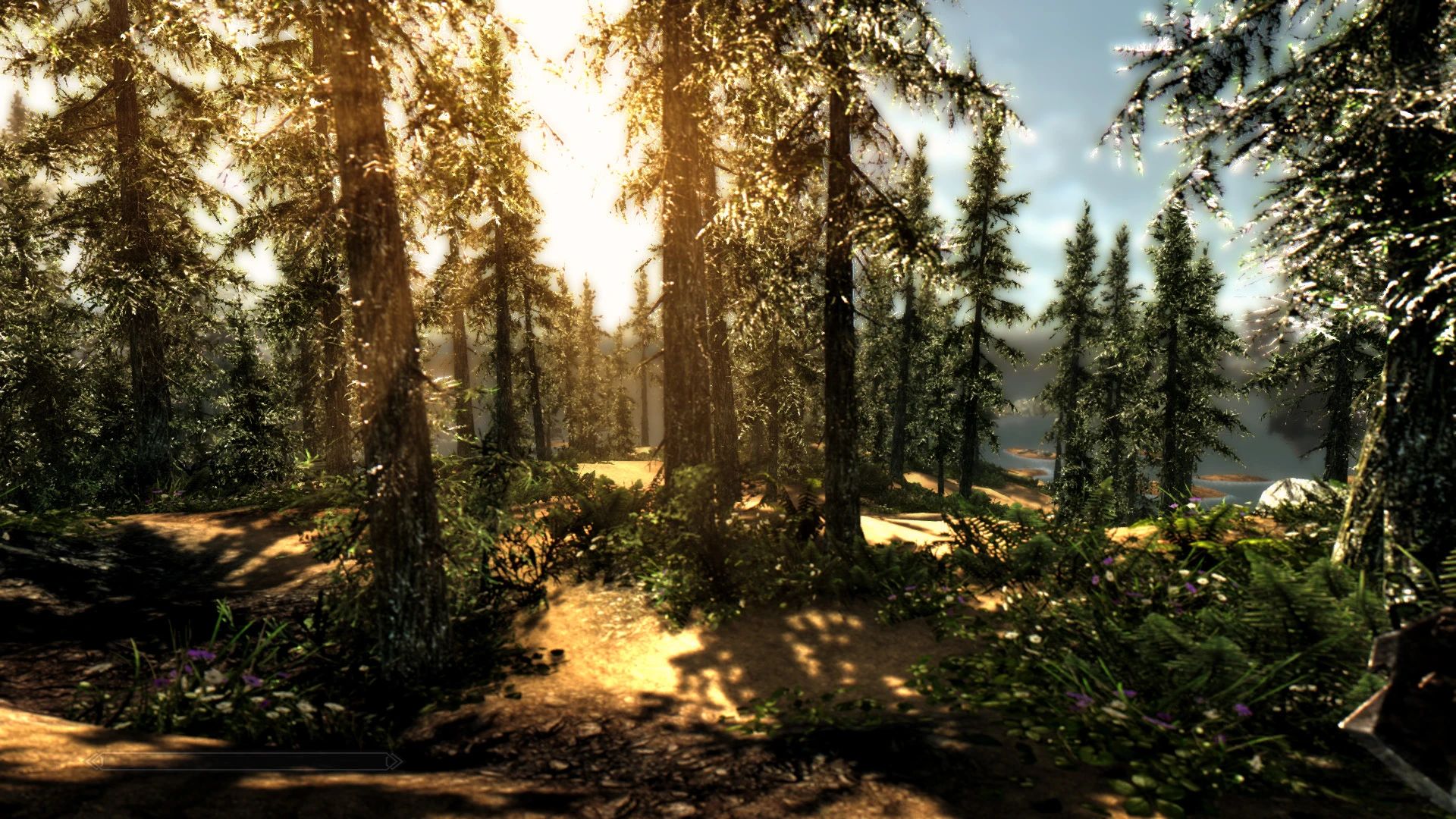 Summer Skyrim Overhaul HD mod for The Elder Scrolls V: Skyrim Special Edition