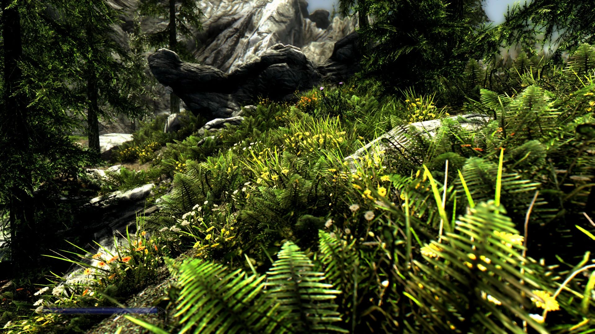 Summer Skyrim Overhaul HD mod for The Elder Scrolls V: Skyrim Special Edition