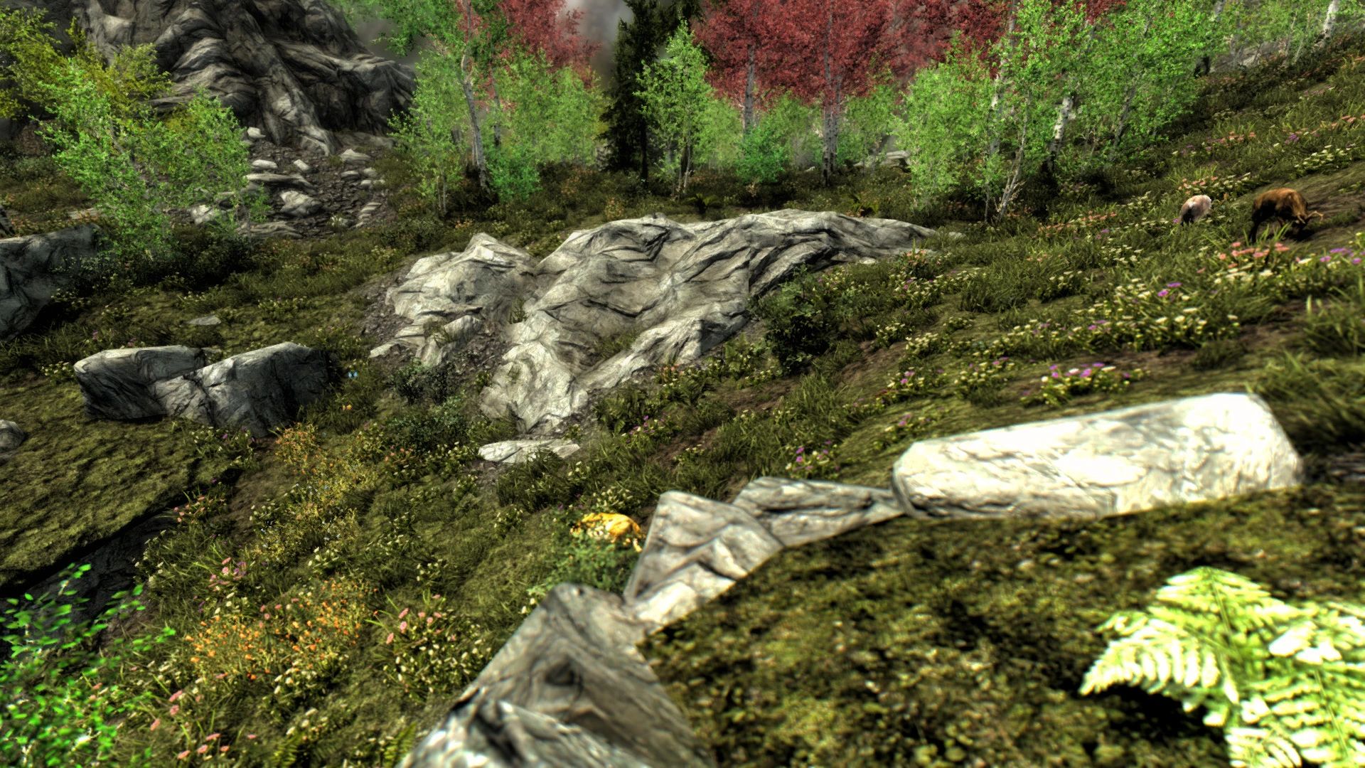 Summer Skyrim Overhaul HD mod for The Elder Scrolls V: Skyrim Special Edition