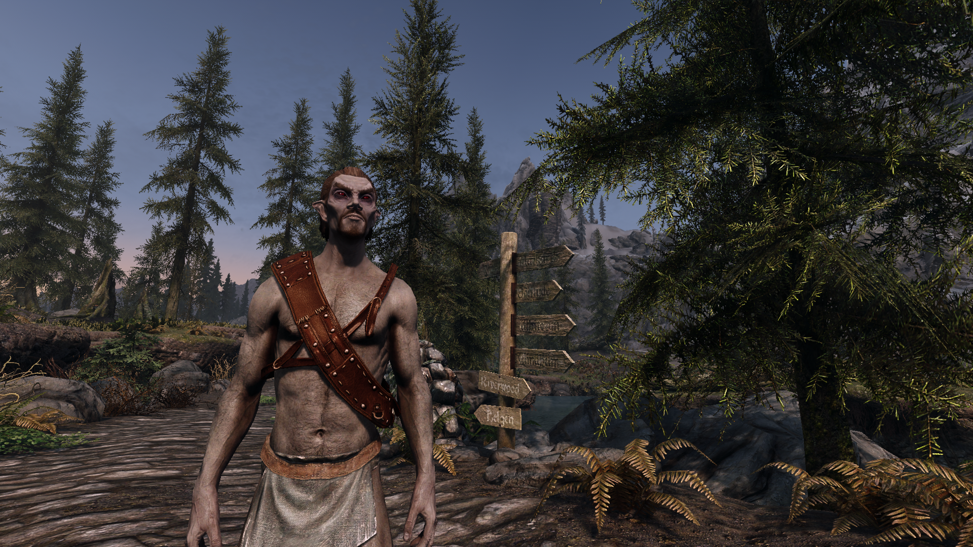 Witcher's Bandolier mod for The Elder Scrolls V: Skyrim Special Edition