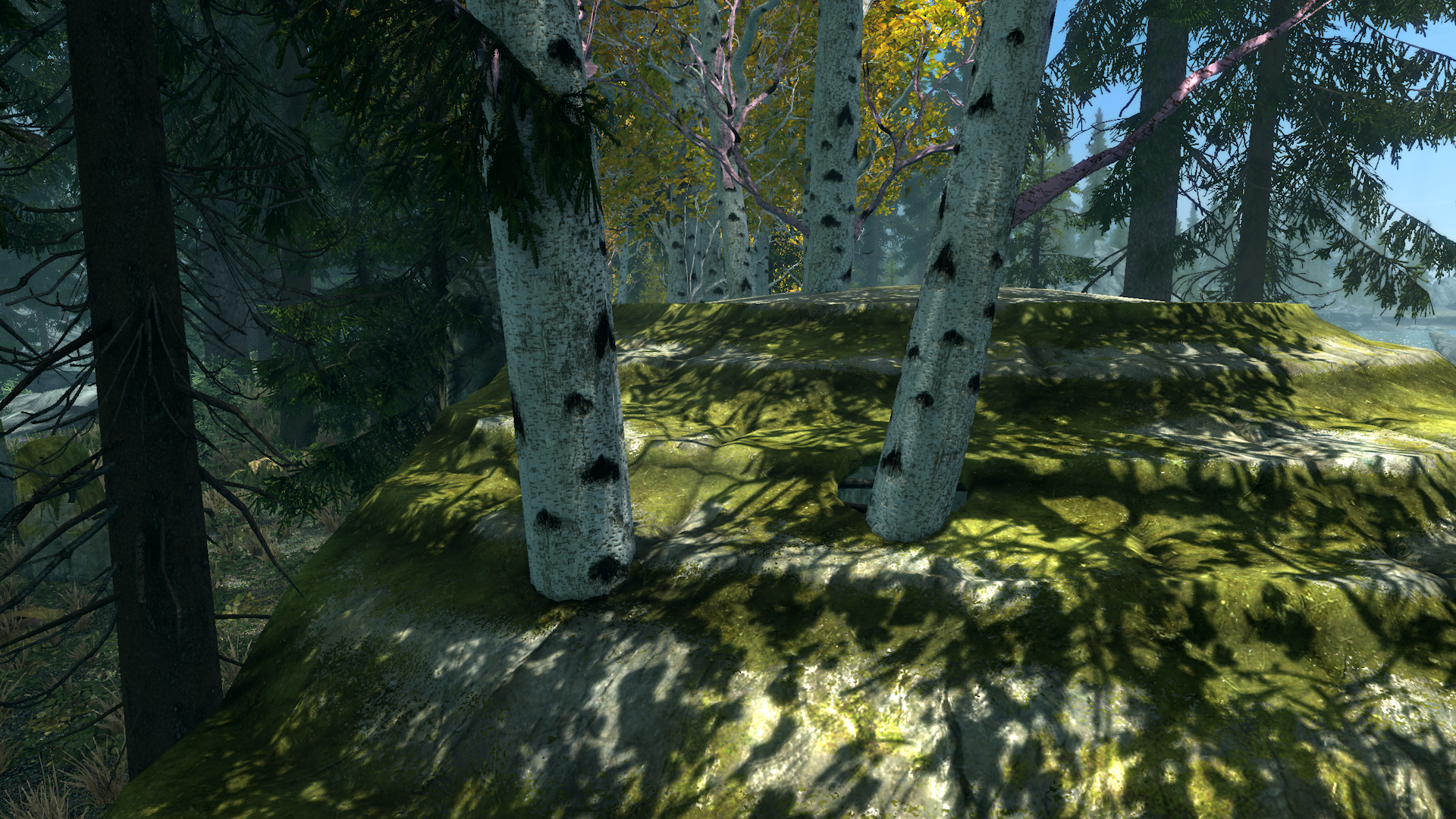 Undeath - Fabled Forests - Patch mod for The Elder Scrolls V: Skyrim Special Edition