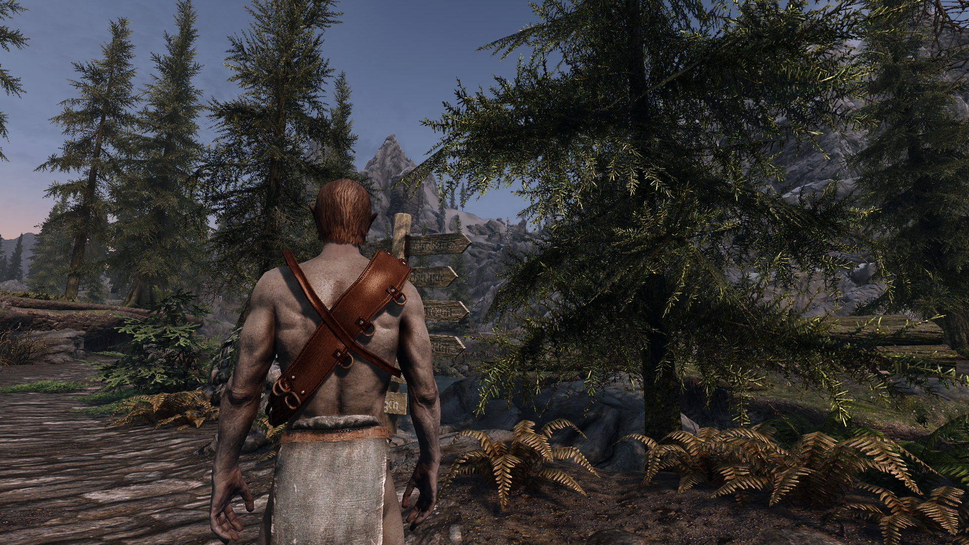 Witcher's Bandolier mod for The Elder Scrolls V: Skyrim Special Edition
