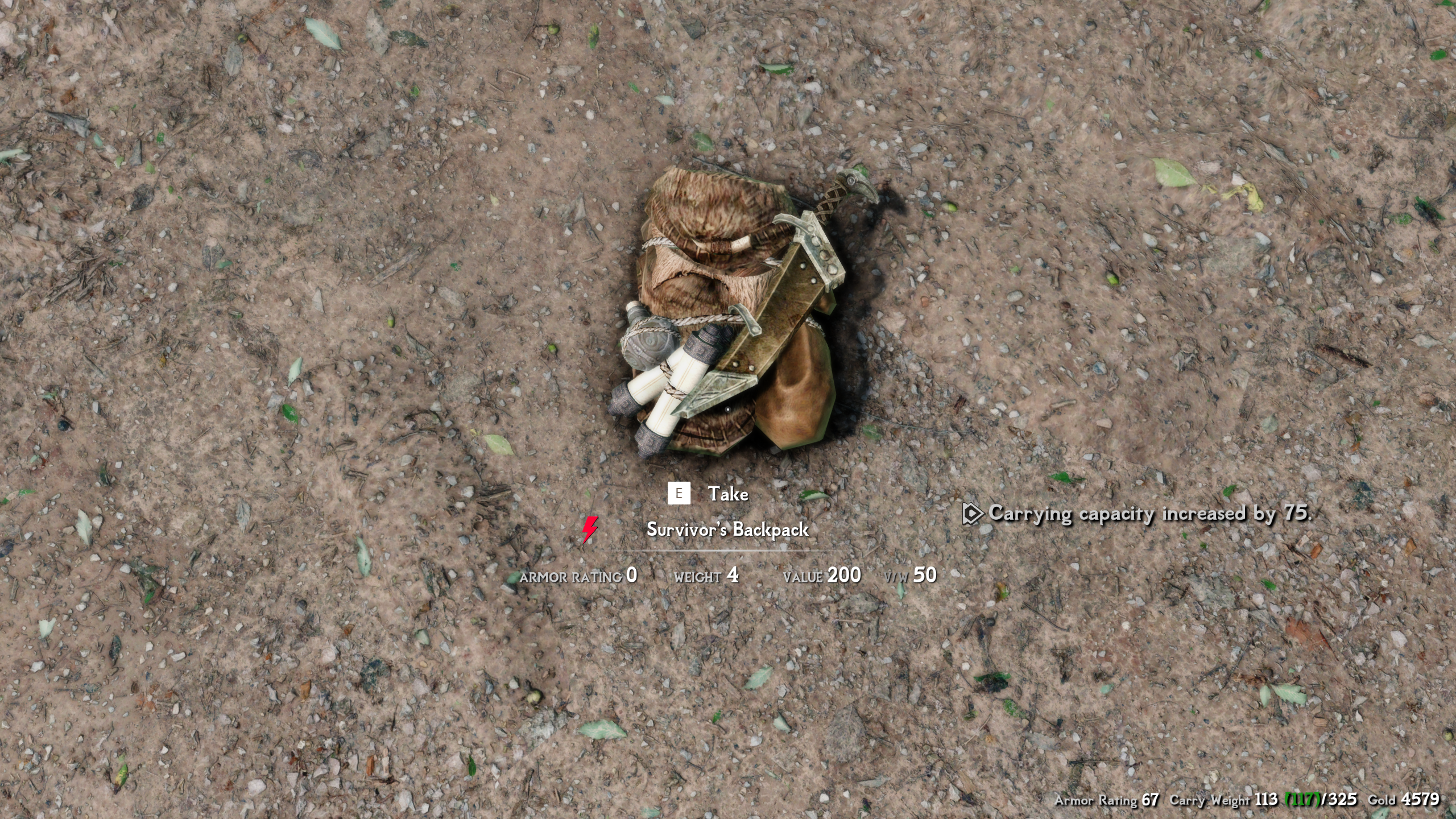 Survivor's Backpack mod for The Elder Scrolls V: Skyrim Special Edition