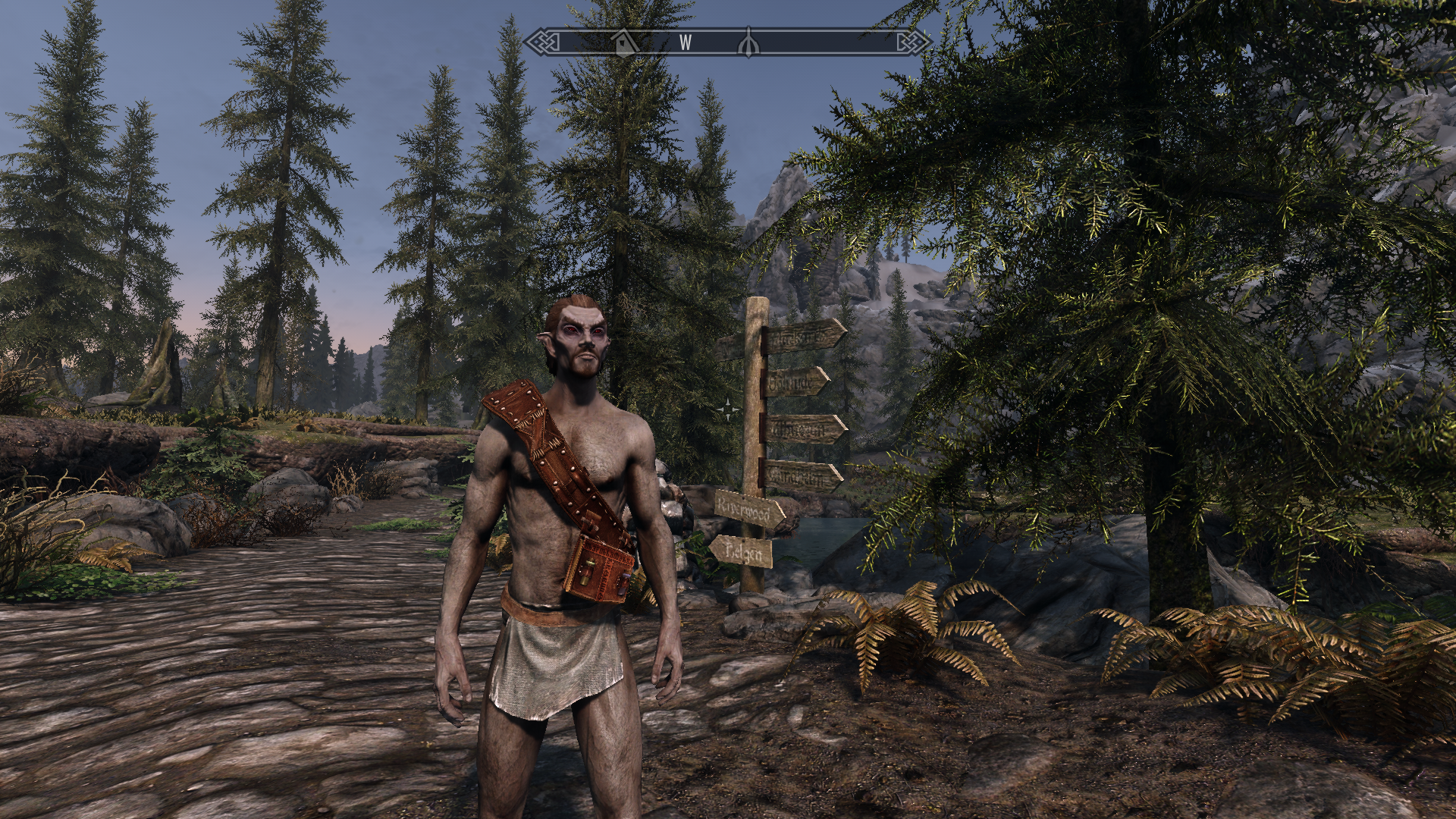 Witcher's Bandolier mod for The Elder Scrolls V: Skyrim Special Edition