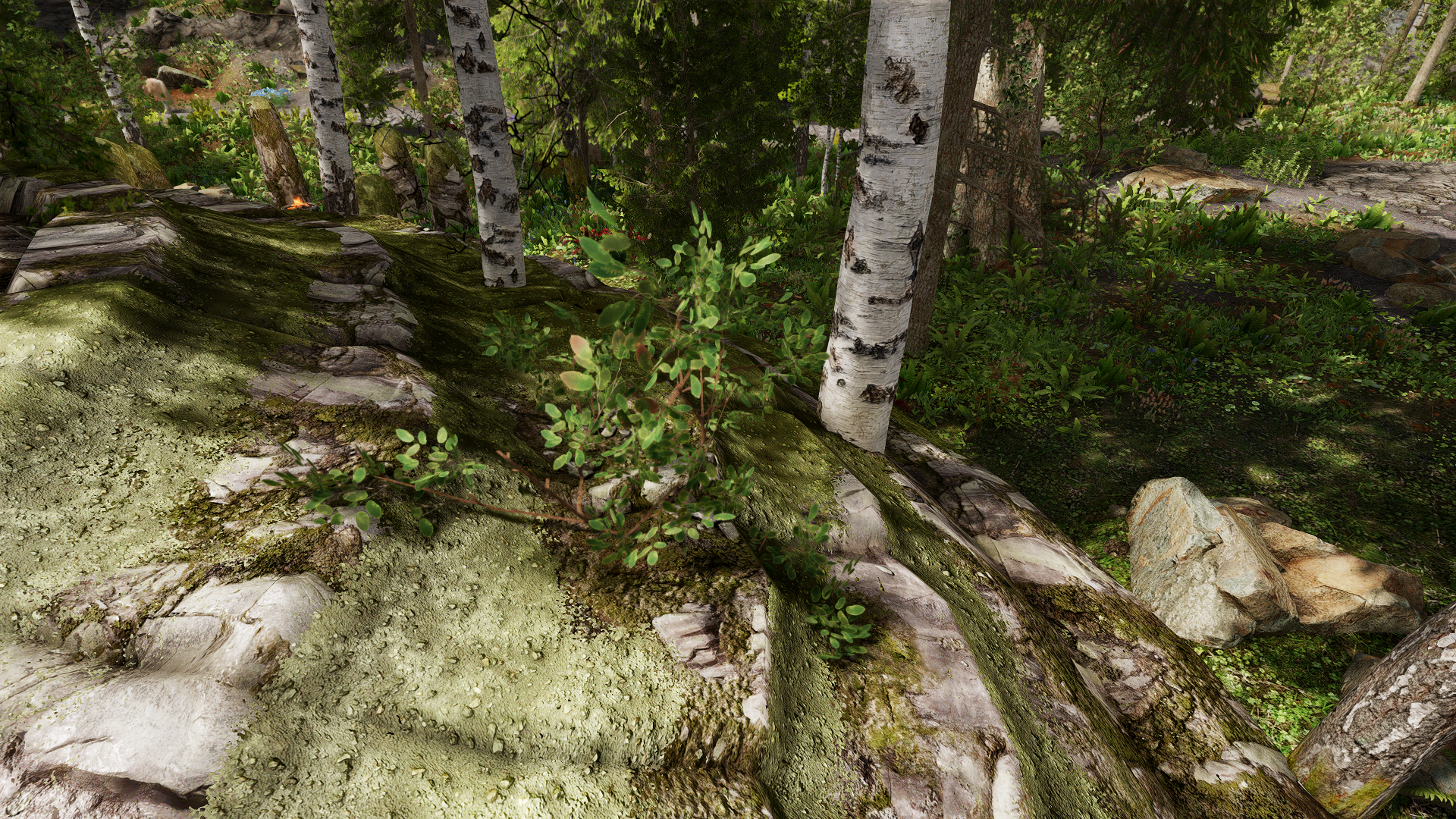 Undeath - Traverse the Ulvenwald - Patch mod for The Elder Scrolls V: Skyrim Special Edition