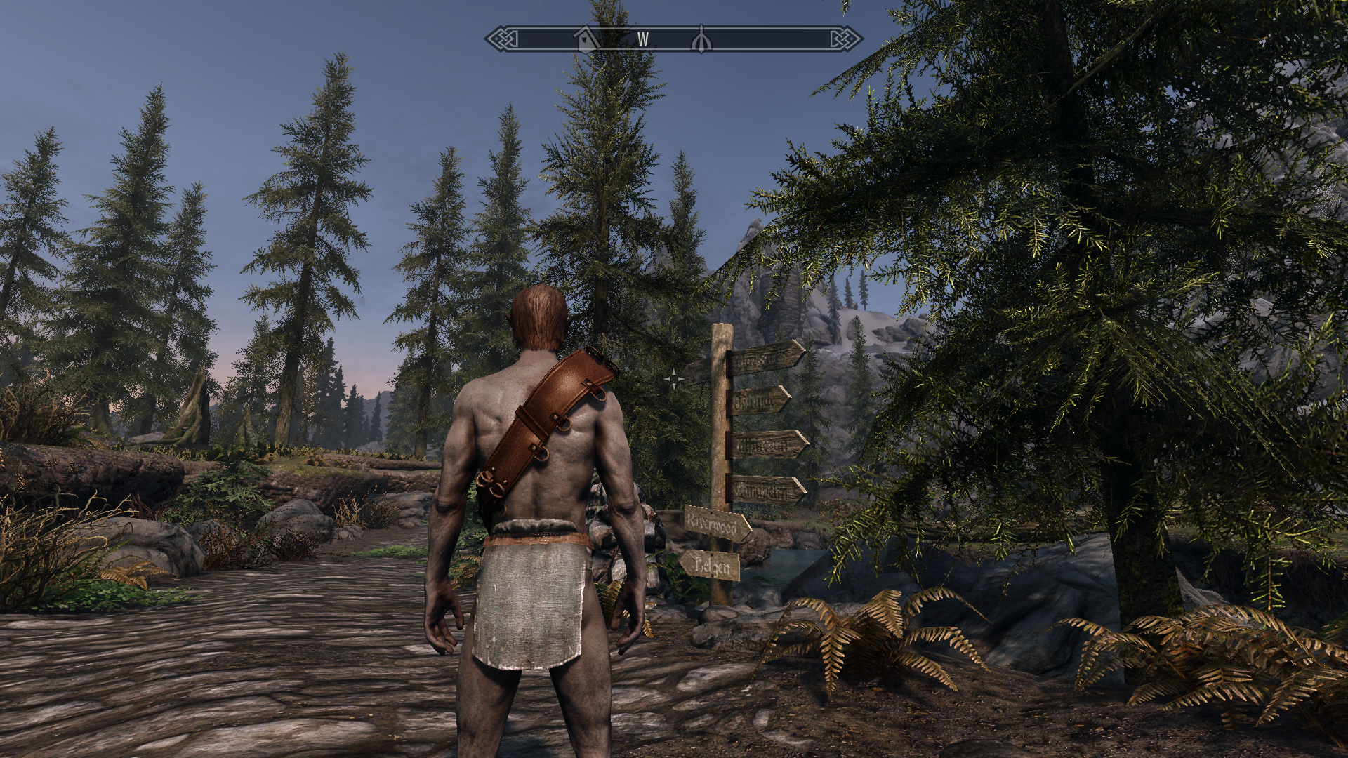 Witcher's Bandolier mod for The Elder Scrolls V: Skyrim Special Edition