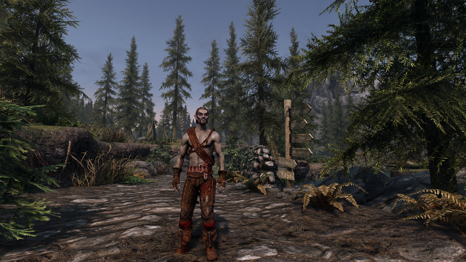 Witcher's Bandolier mod for The Elder Scrolls V: Skyrim Special Edition