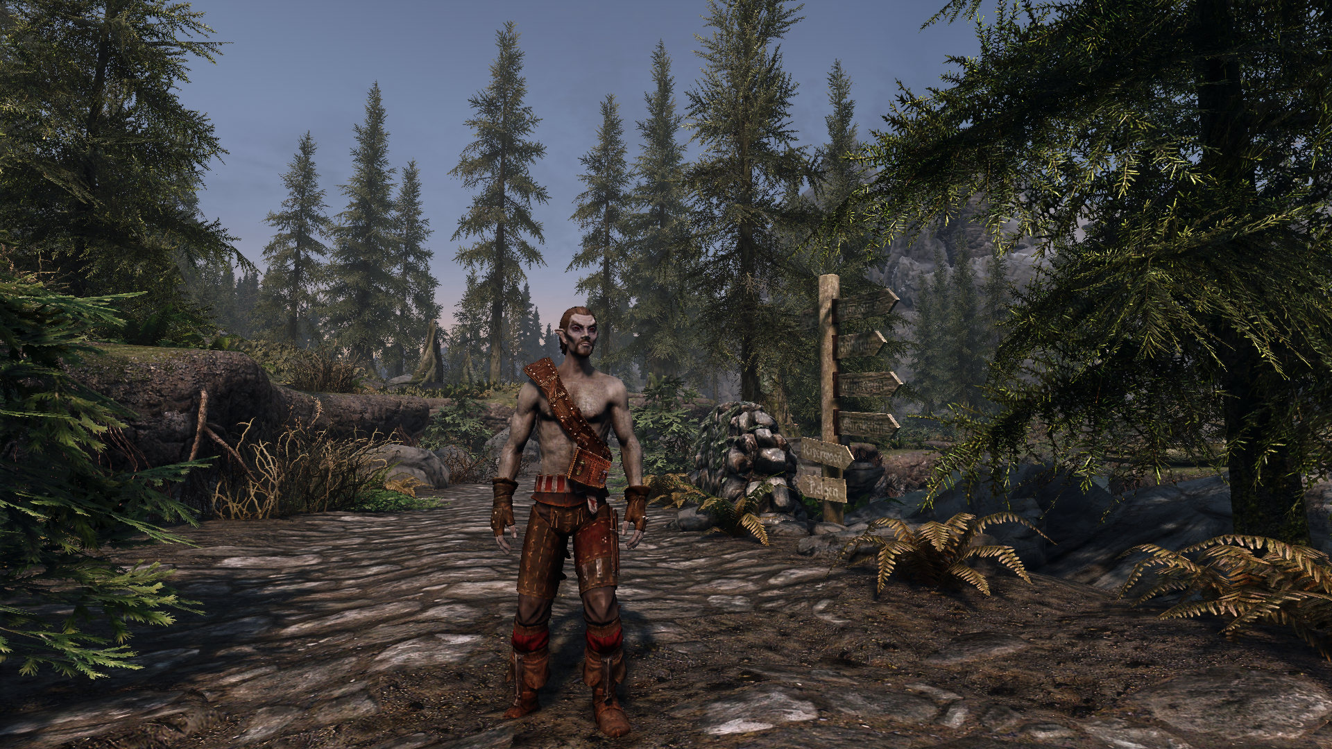 Witcher's Bandolier mod for The Elder Scrolls V: Skyrim Special Edition