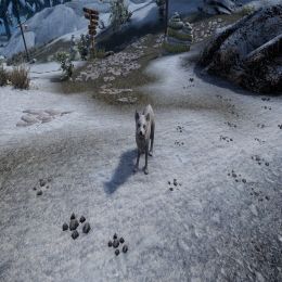 Six - A Fox Follower Mod - LE mod for Skyrim