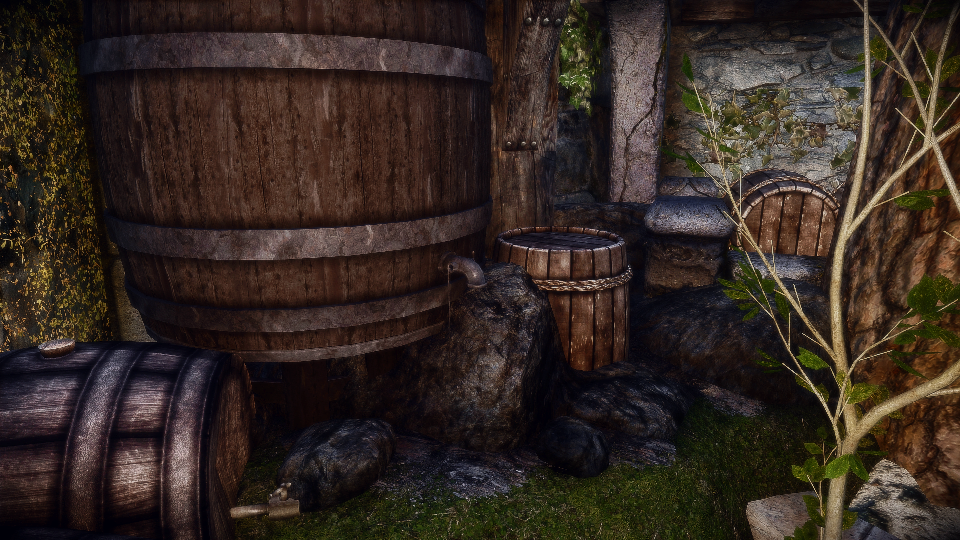Dlizzio's Mesh Fixes - Patches for Solitude Mods mod for The Elder Scrolls V: Skyrim Special Edition