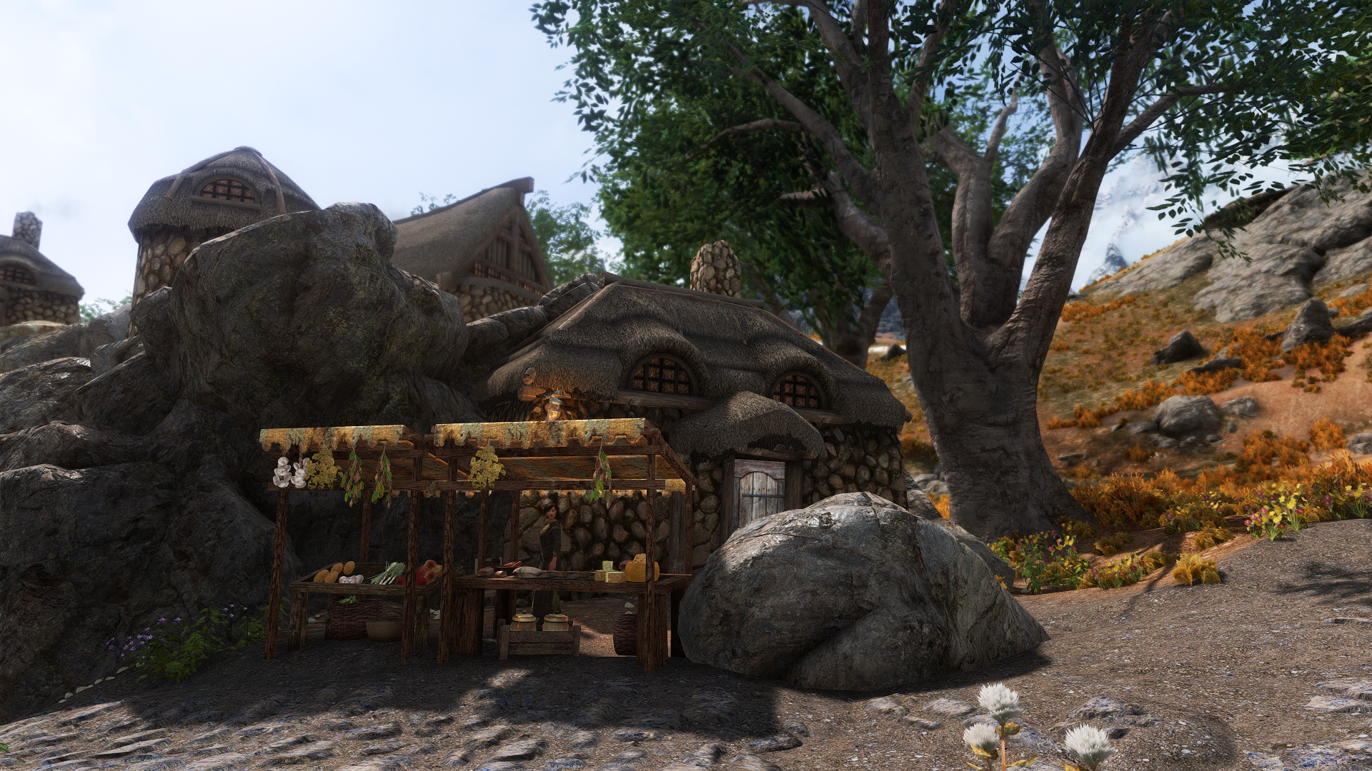 New Weynon - Settlements Expanded mod for The Elder Scrolls V: Skyrim Special Edition