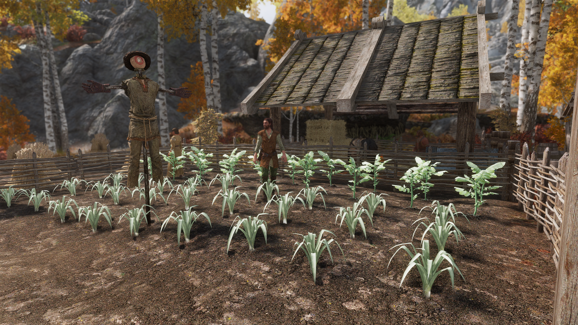 JK's Riften Outskirts Patch Collection mod for The Elder Scrolls V: Skyrim Special Edition