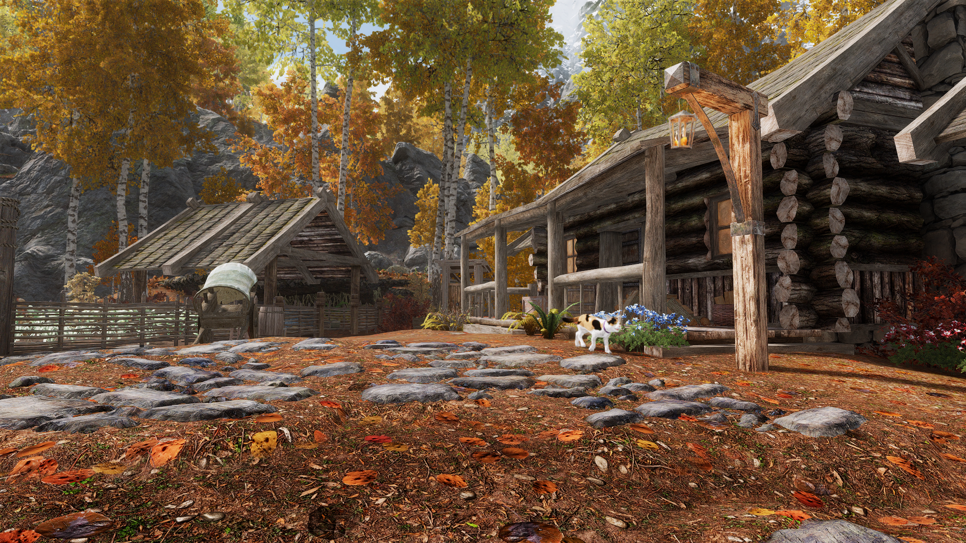 JK's Riften Outskirts Patch Collection mod for The Elder Scrolls V: Skyrim Special Edition