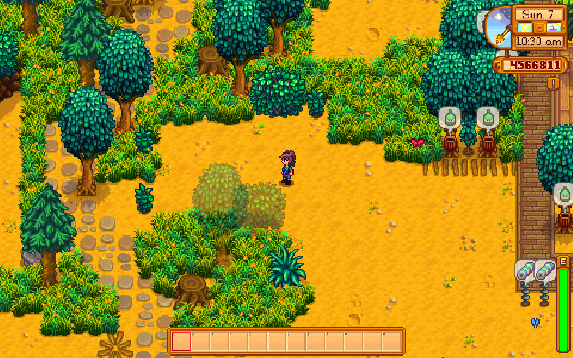 Transparency Settings mod for Stardew Valley