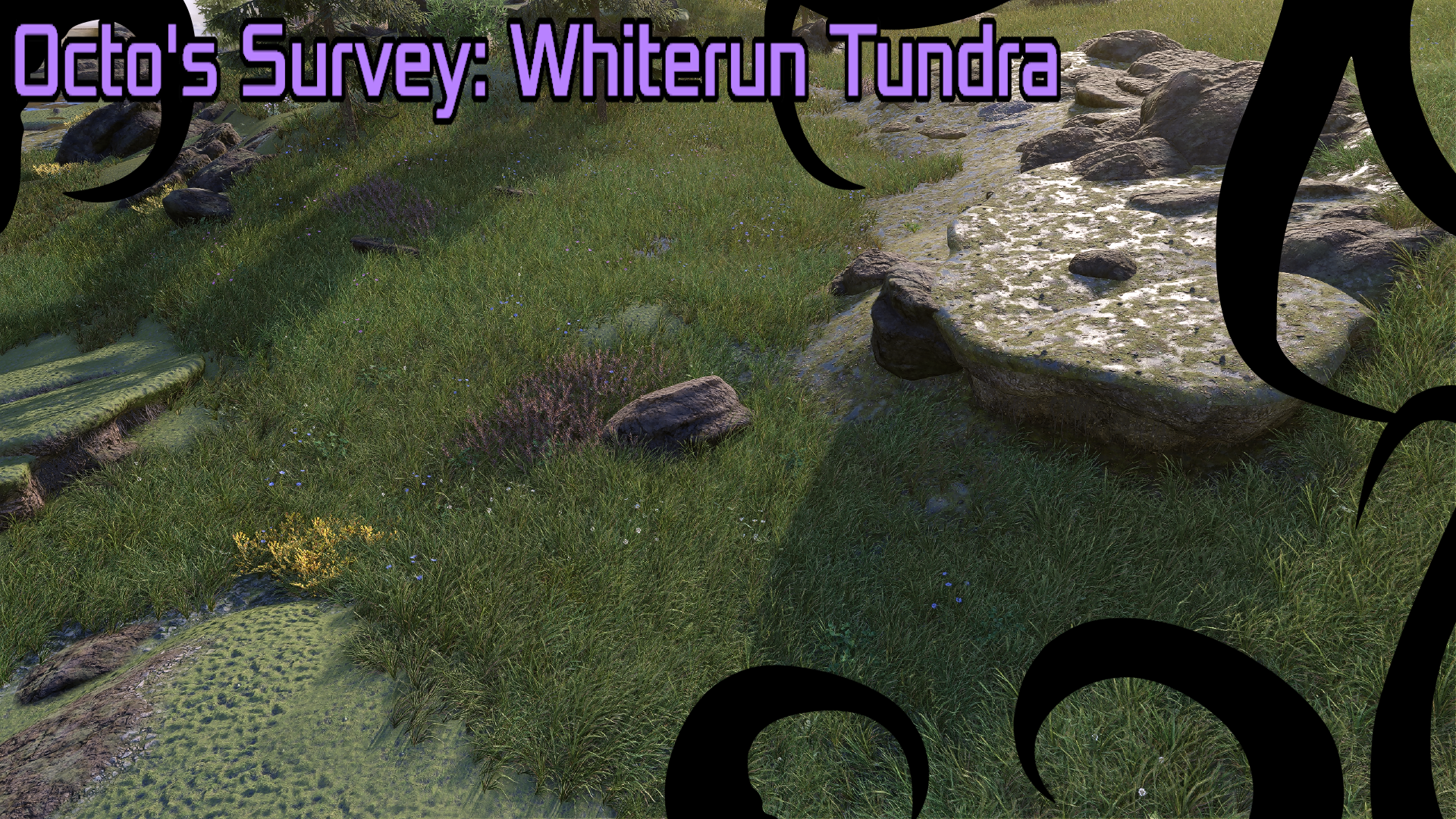 Octo's Survey - PBR Seasonal Whiterun Tundra and Fields mod for The Elder Scrolls V: Skyrim Special Edition
