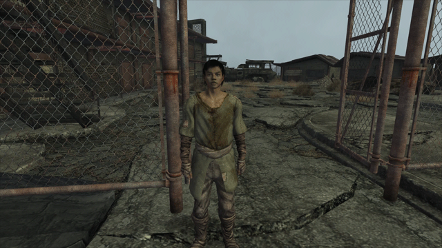 Animated Greetings mod for Fallout: New Vegas