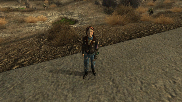 Animated Greetings mod for Fallout: New Vegas