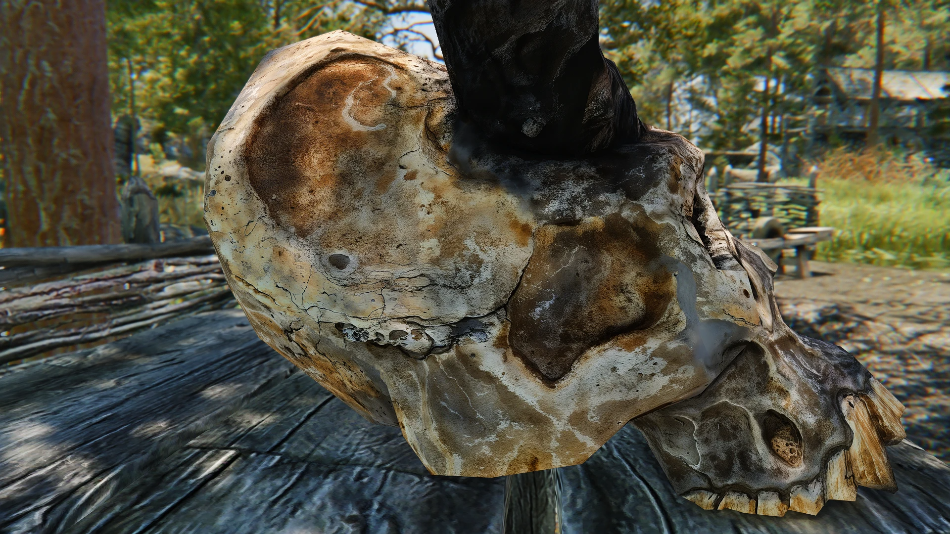 Kanjs - Giant - Mammoth and Clutter Animated mod for The Elder Scrolls V: Skyrim Special Edition