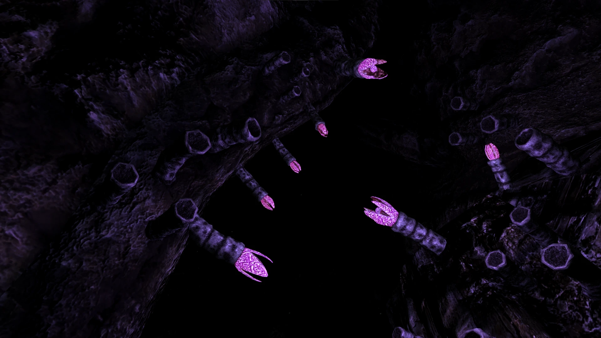 Kanjs - Forgotten Vale Cave Worm mod for The Elder Scrolls V: Skyrim Special Edition