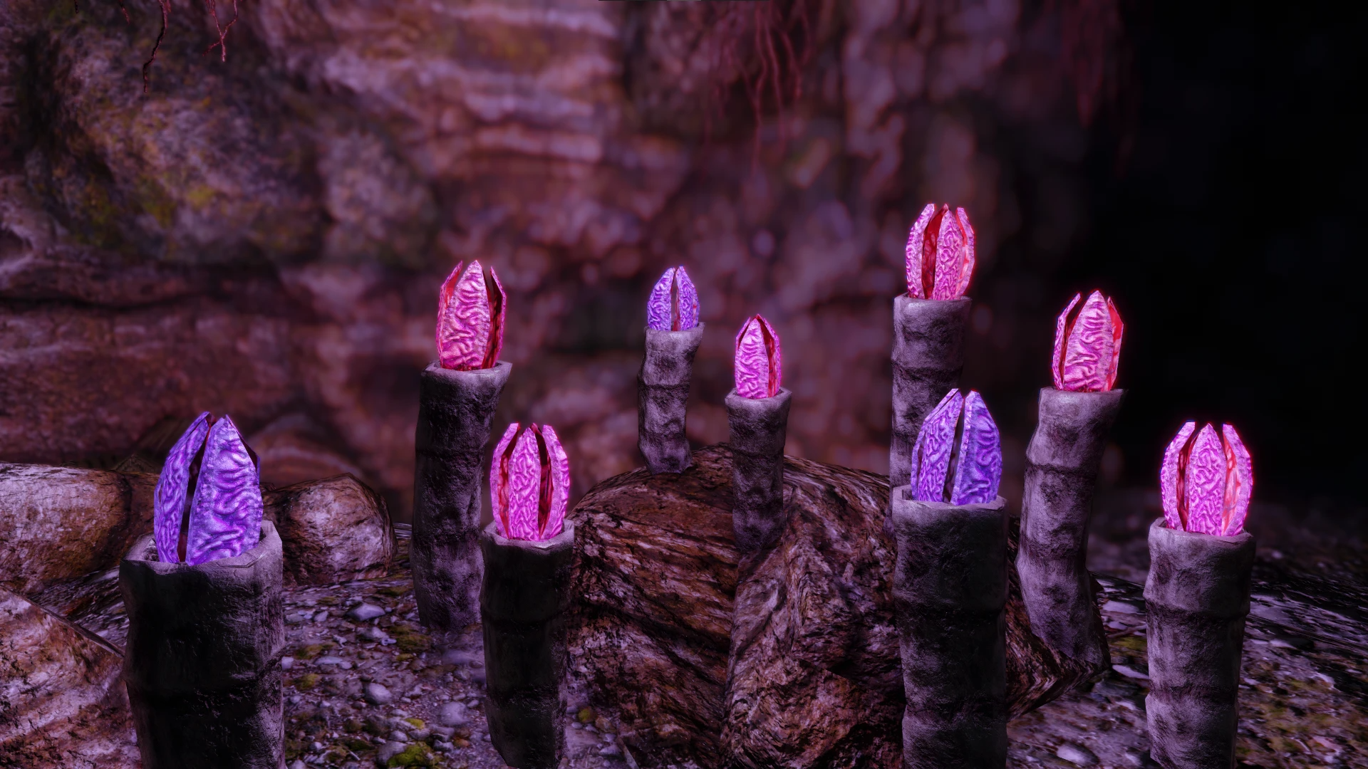 Kanjs - Forgotten Vale Cave Worm mod for The Elder Scrolls V: Skyrim Special Edition