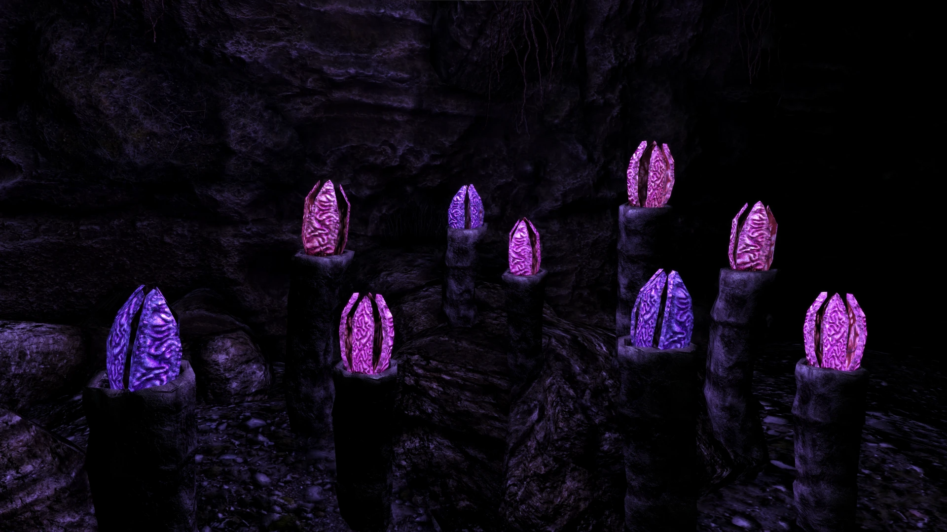 Kanjs - Forgotten Vale Cave Worm mod for The Elder Scrolls V: Skyrim Special Edition