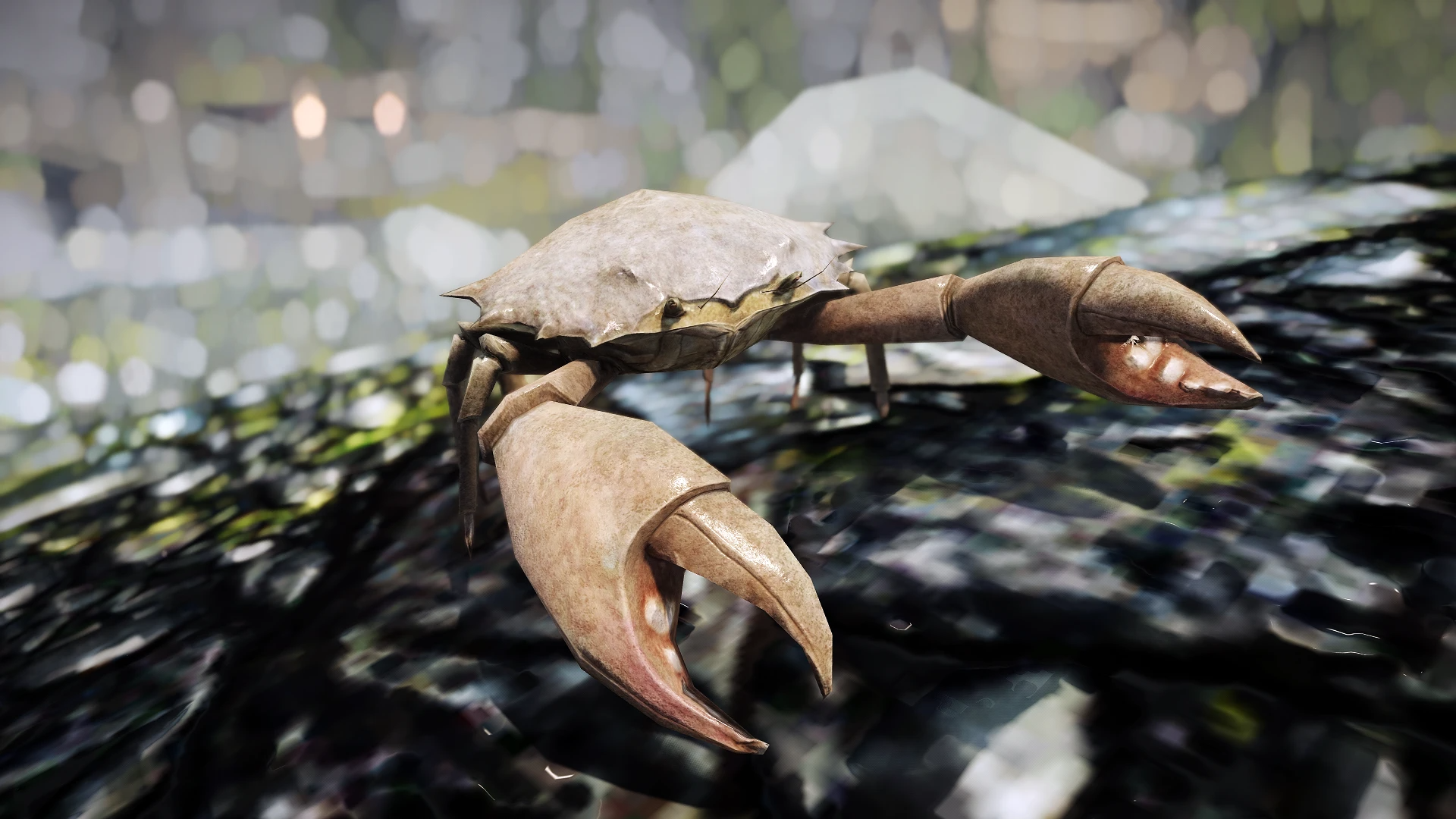 Kanjs - Mudcrab and Giant Crab mod for The Elder Scrolls V: Skyrim Special Edition