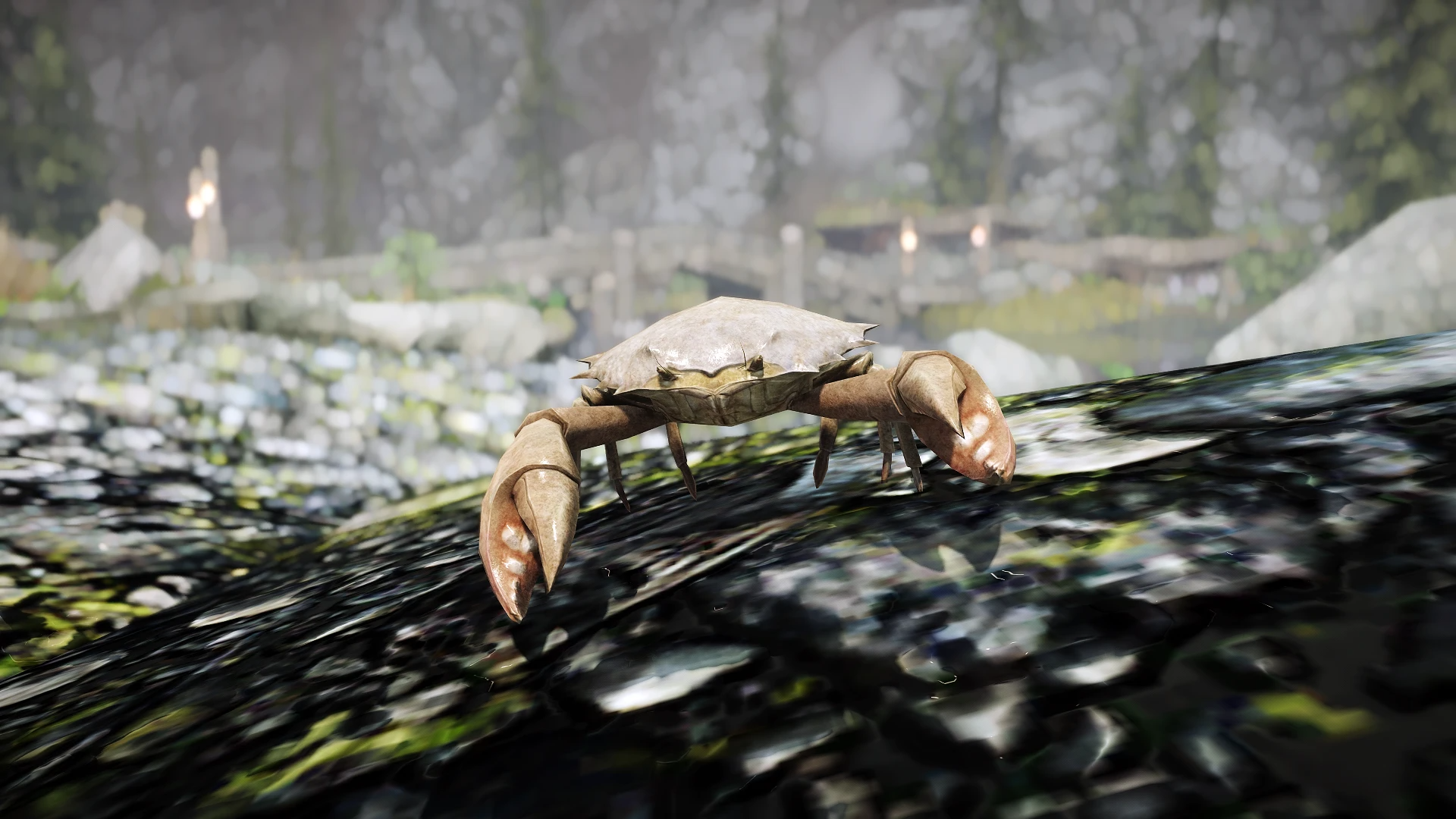 Kanjs - Mudcrab and Giant Crab mod for The Elder Scrolls V: Skyrim Special Edition