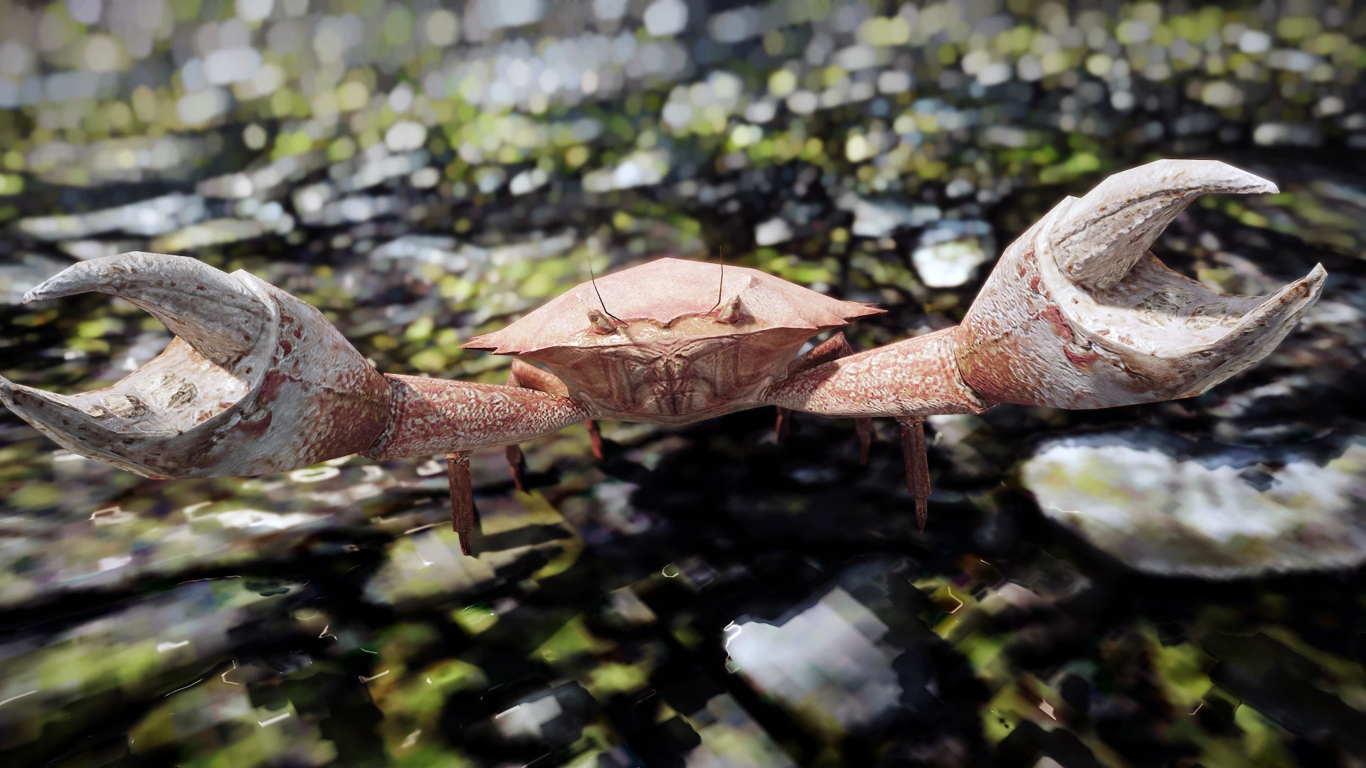 Kanjs - Mudcrab and Giant Crab mod for The Elder Scrolls V: Skyrim Special Edition