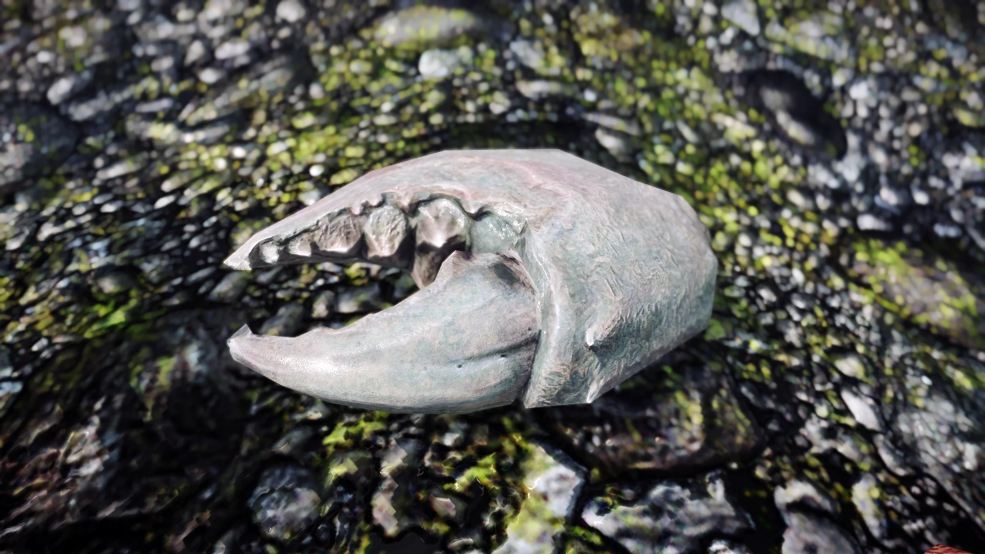 Kanjs - Mudcrab and Giant Crab mod for The Elder Scrolls V: Skyrim Special Edition