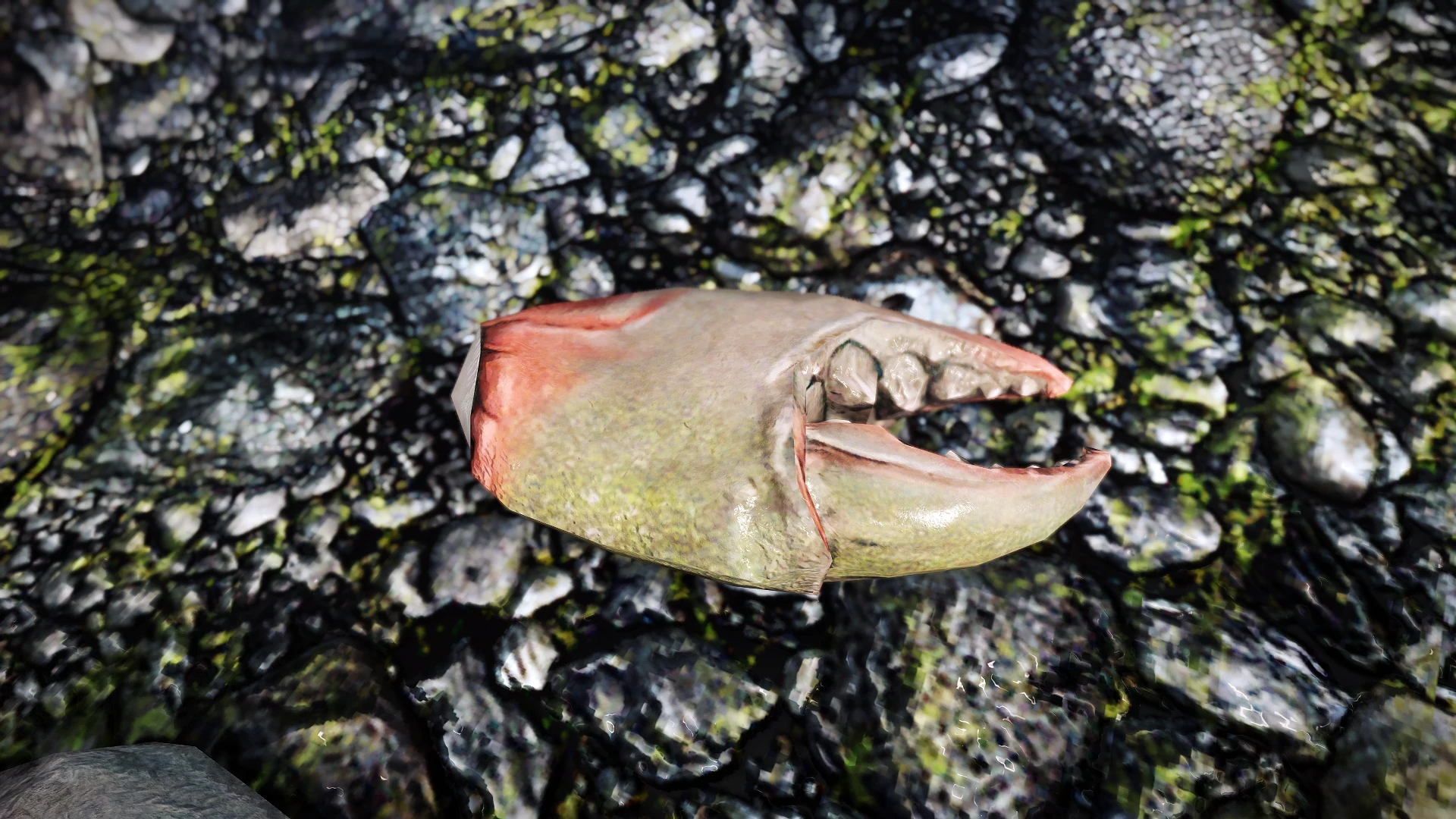 Kanjs - Mudcrab and Giant Crab mod for The Elder Scrolls V: Skyrim Special Edition