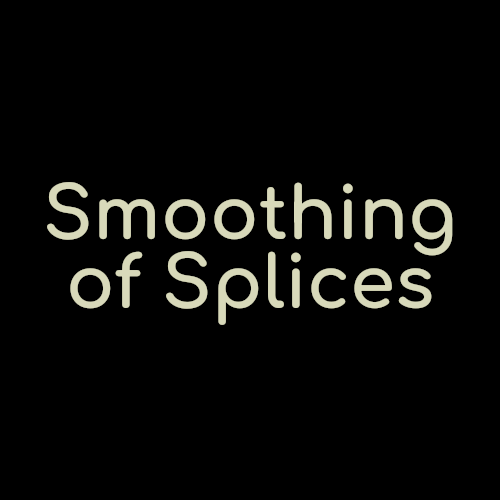 Smoothing of Splices mod for The Elder Scrolls V: Skyrim Special Edition