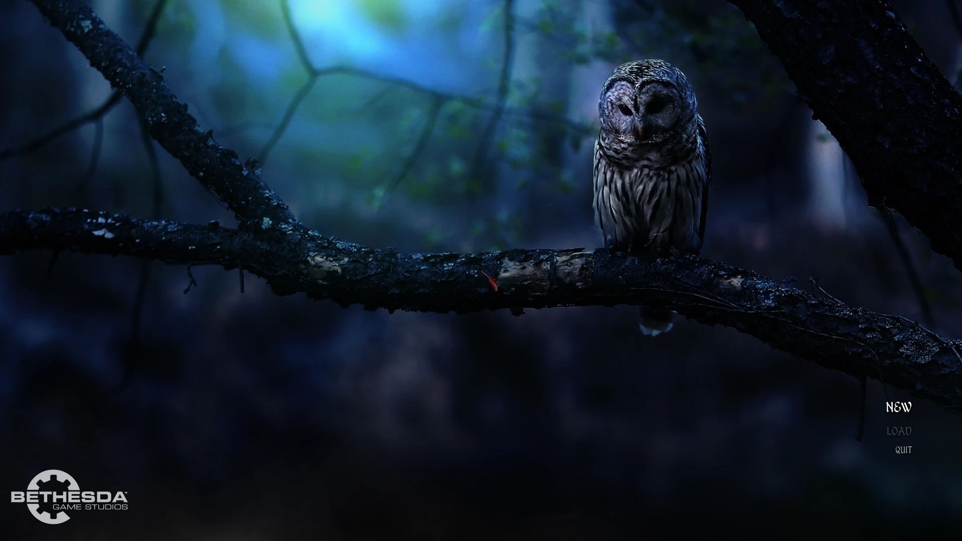 Owl of Shadows - Main Menu Replacer mod for The Elder Scrolls V: Skyrim Special Edition