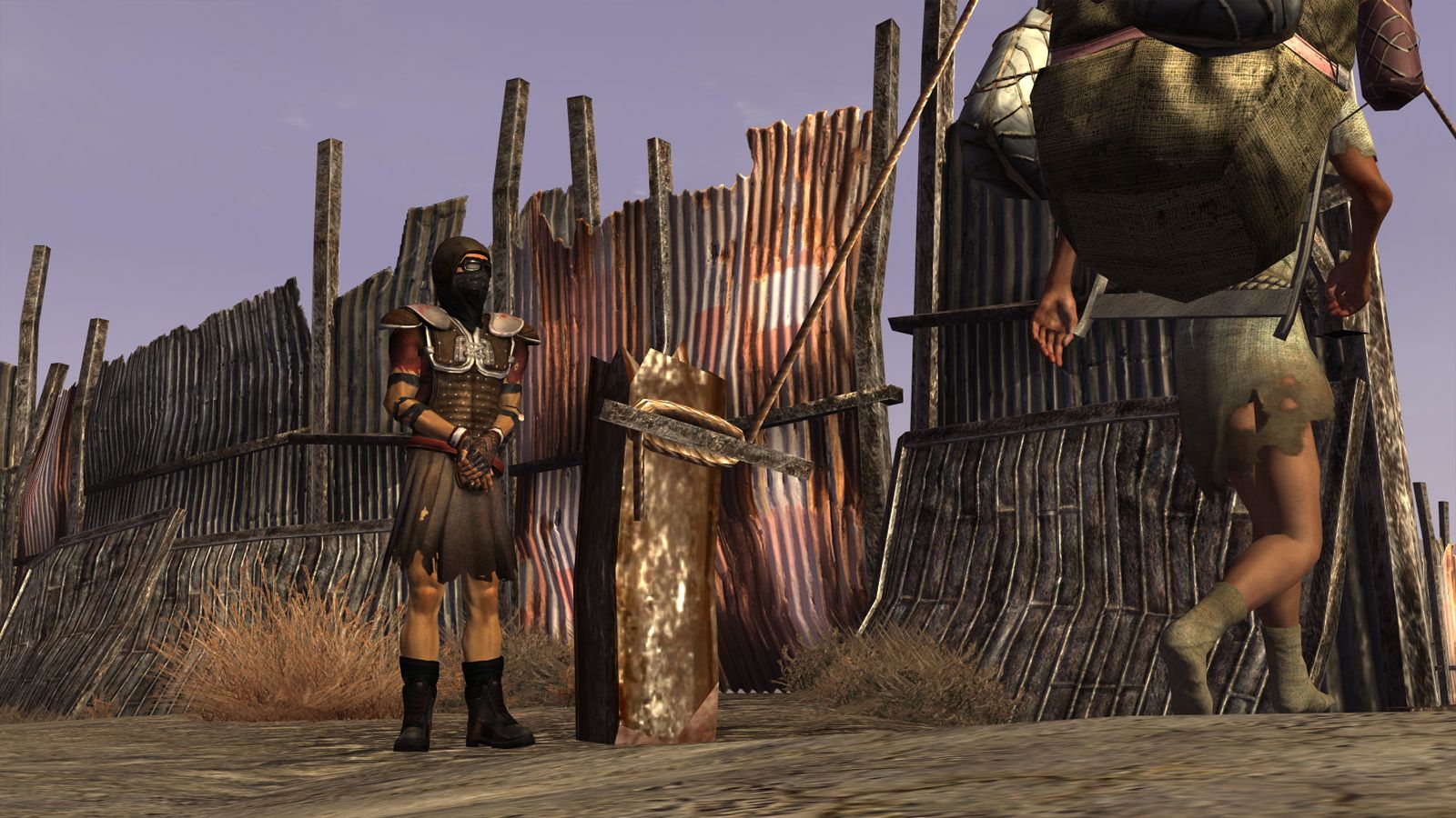 Idle Variety mod for Fallout: New Vegas