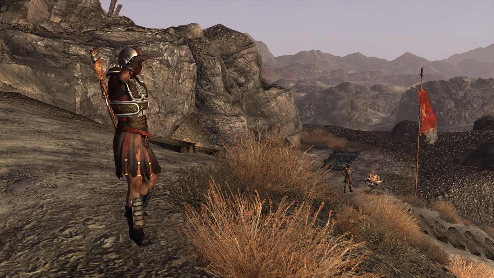 Idle Variety mod for Fallout: New Vegas