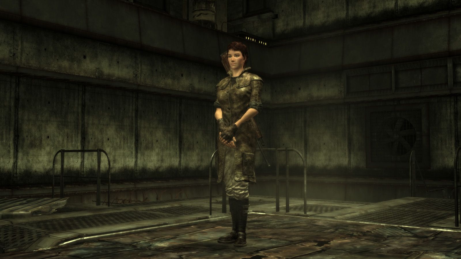 Idle Variety mod for Fallout: New Vegas