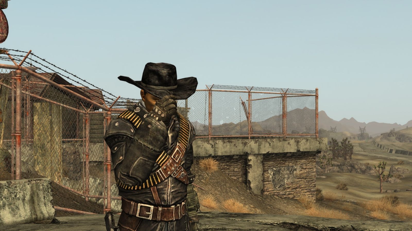 Animated Greetings mod for Fallout: New Vegas