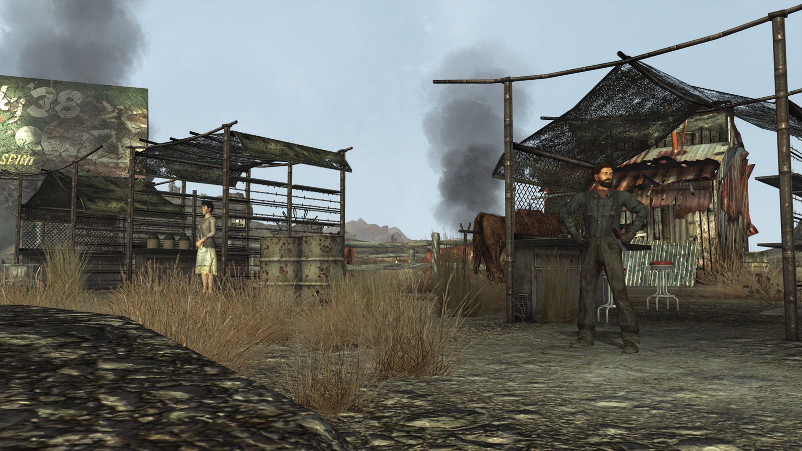 Idle Variety mod for Fallout: New Vegas