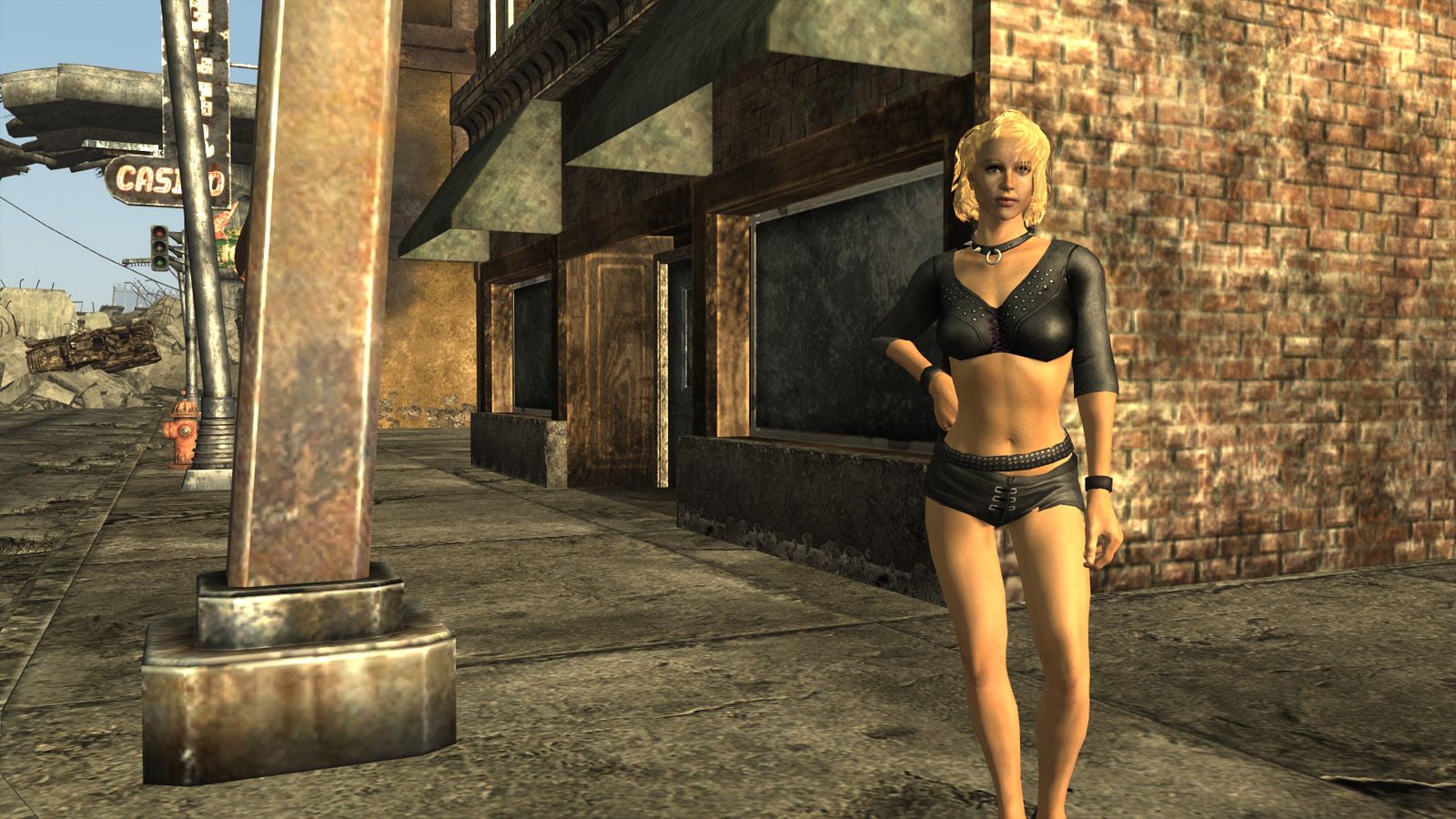 Idle Variety mod for Fallout: New Vegas