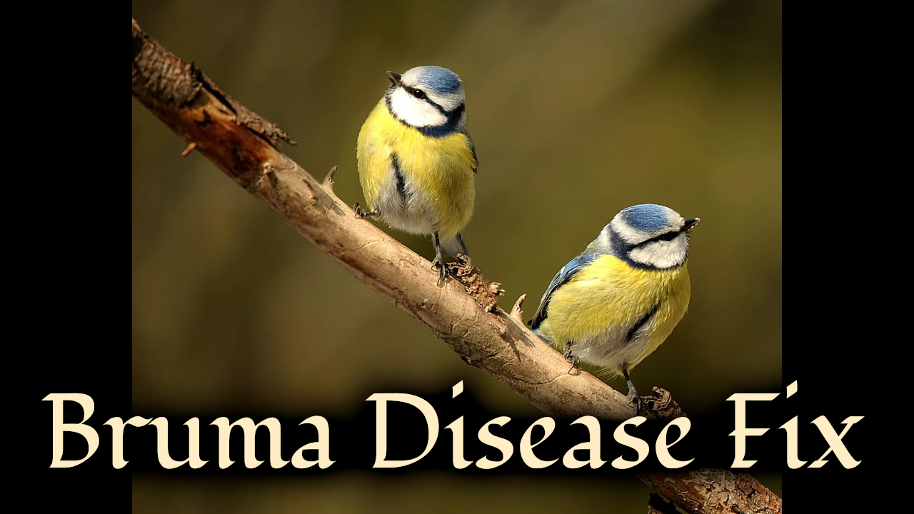 Beyond Skyrim - Disease Condition Bug Fix mod for The Elder Scrolls V: Skyrim Special Edition