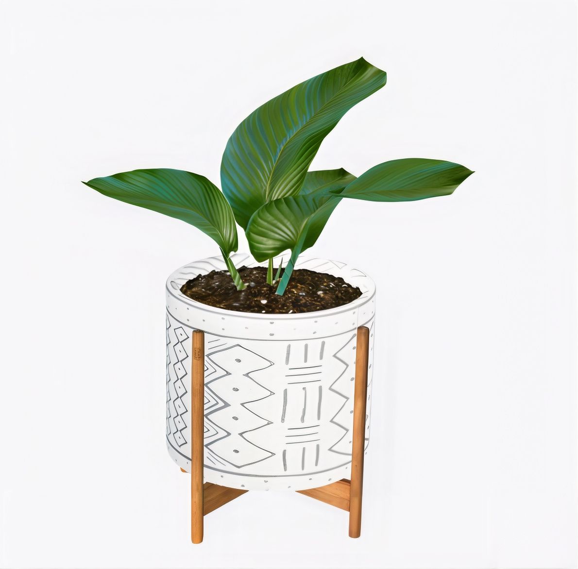 Boho plants set mod for The Sims 4 