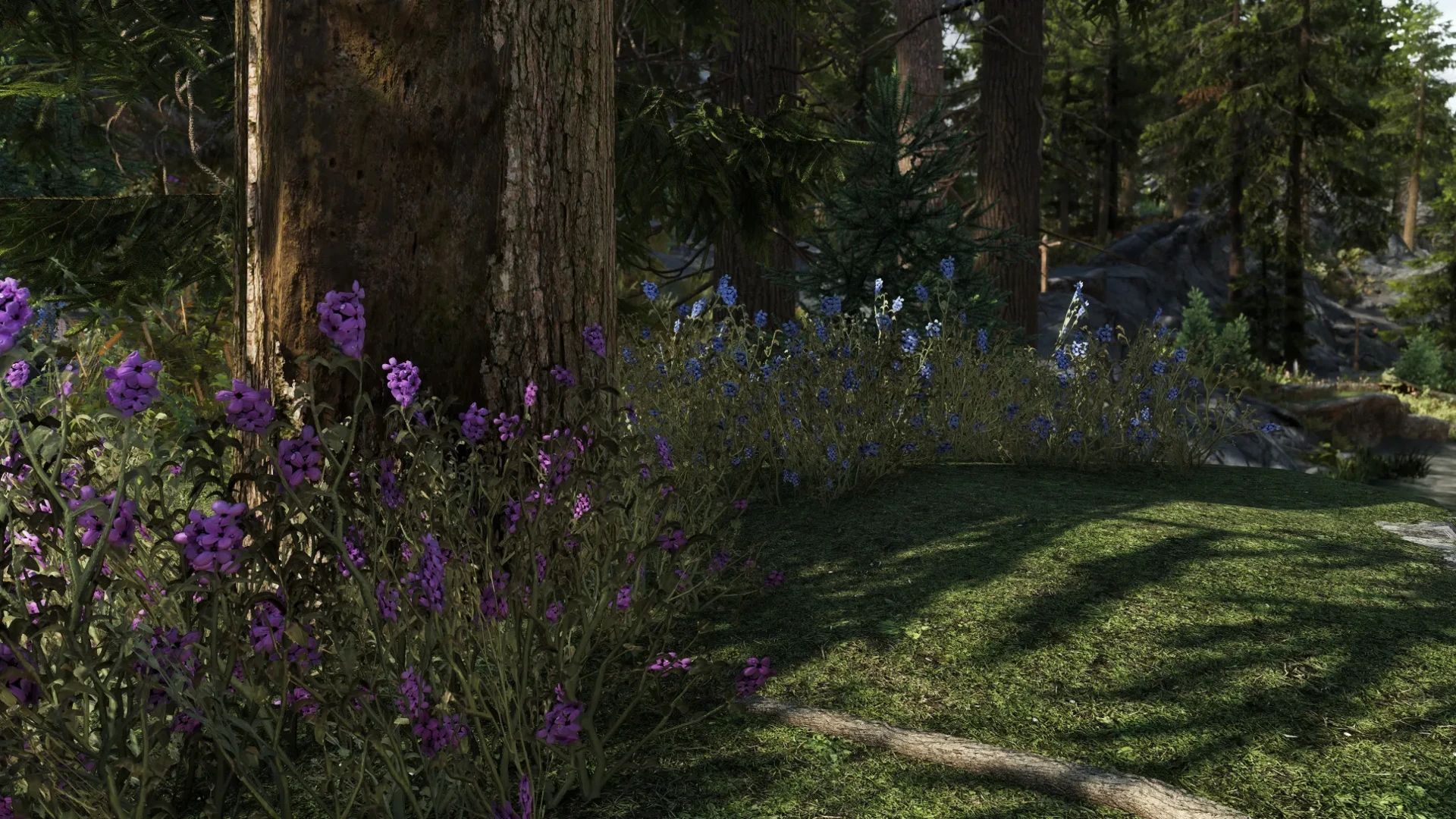 Edmond's Nature Series - MOUNTAIN FLOWERS Ultra HD Retexture mod for The Elder Scrolls V: Skyrim Special Edition