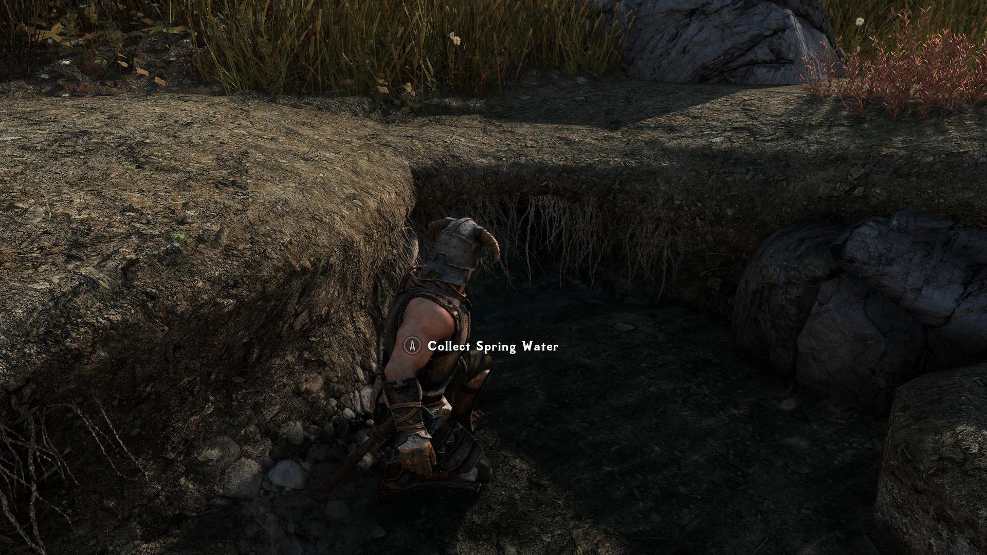 Edmond's Immersive Needs ESL - Light Weight SPID and KID Needs Mod for the Future mod for The Elder Scrolls V: Skyrim Special Edition
